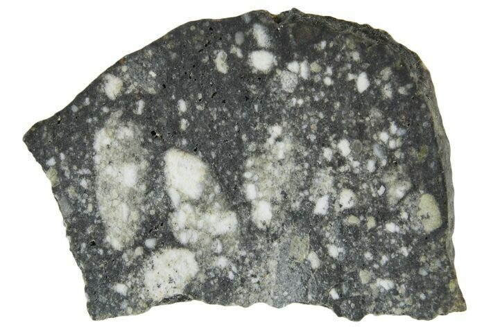 Polished Lunar Meteorite ( g) Slice - Aridal #360151